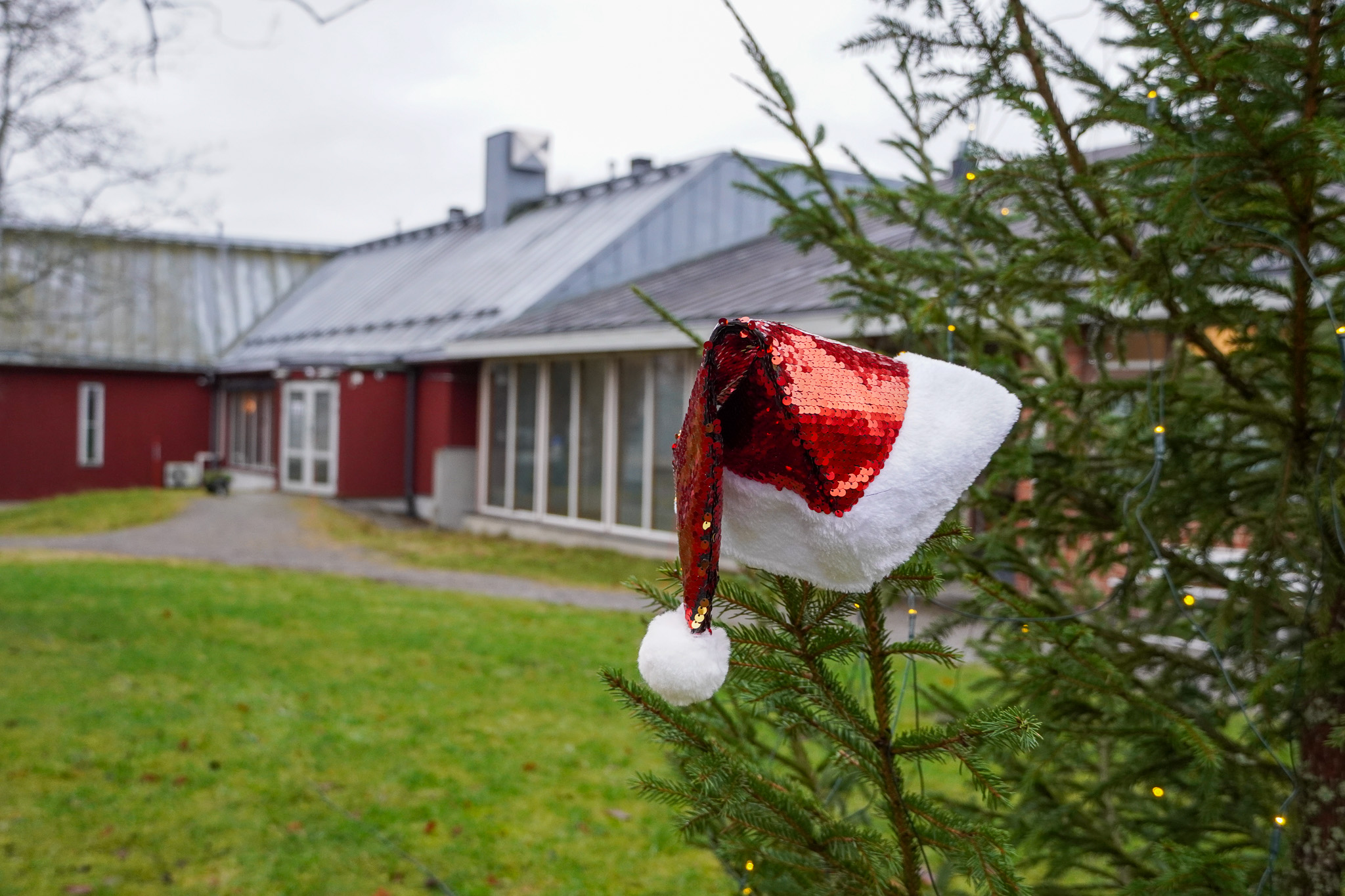Museum Christmas